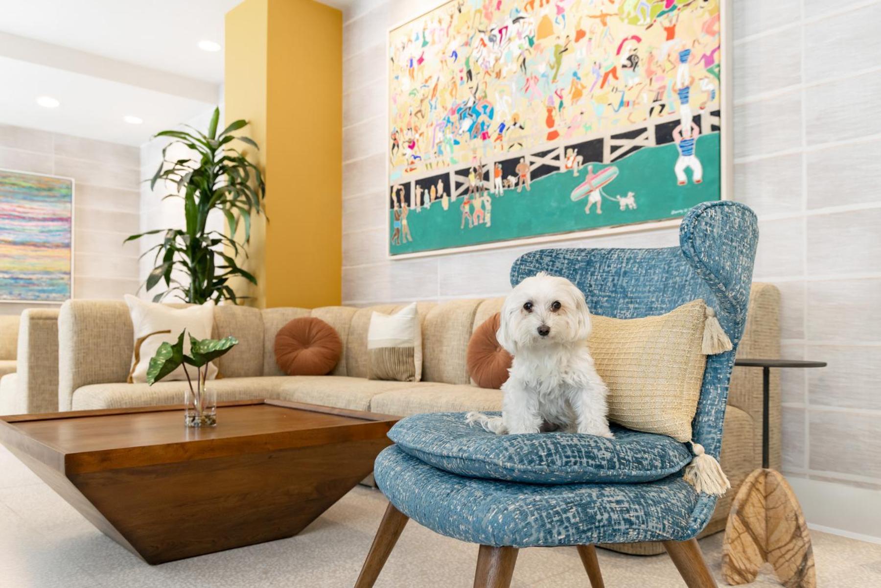 Hotel Continental Miami Beach, Tapestry Collection By Hilton Экстерьер фото